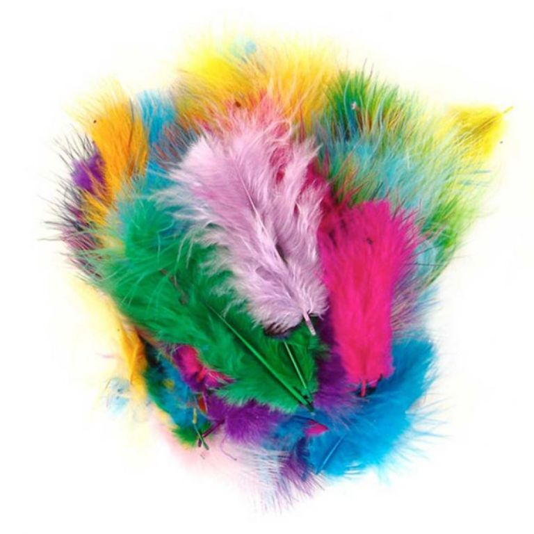 PLUMAS INDIO 6 COLORES SURTIDOS /50 UNIDADES
